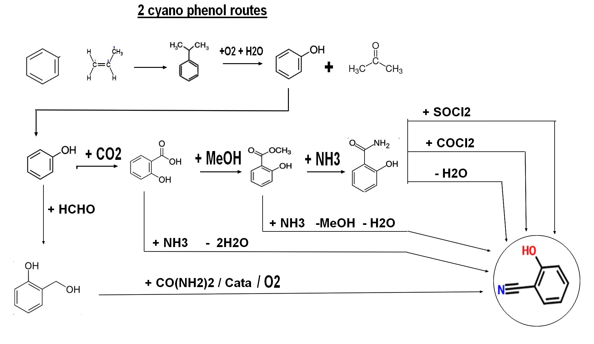 2 cyano phenol route