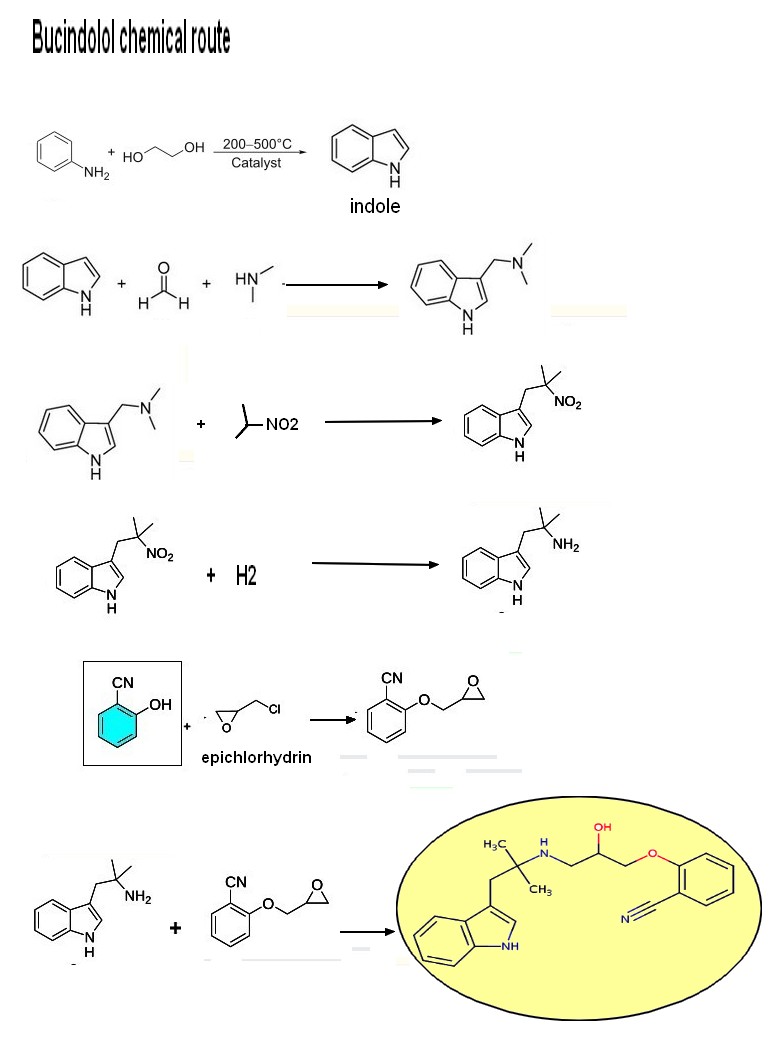 bucindolol route