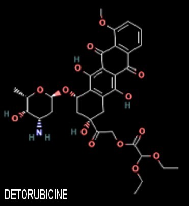 detorubicine