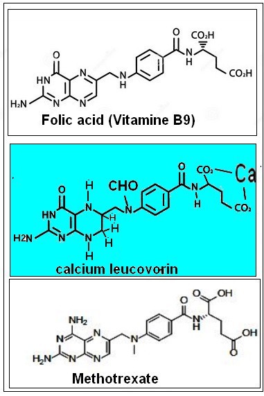 folic_leucovorin_mtx